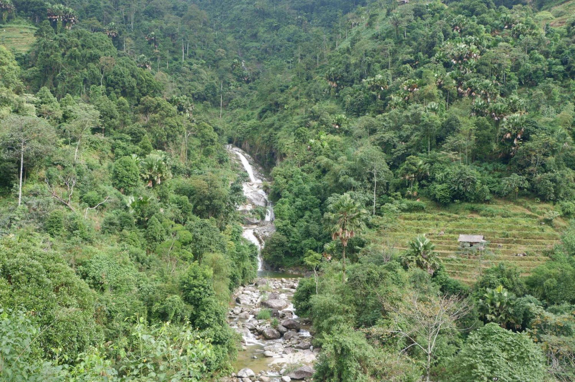 Bikki'S Jungle Homestay Ha Giang Εξωτερικό φωτογραφία