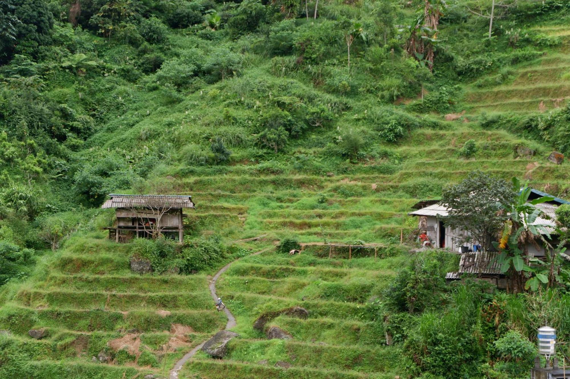 Bikki'S Jungle Homestay Ha Giang Εξωτερικό φωτογραφία