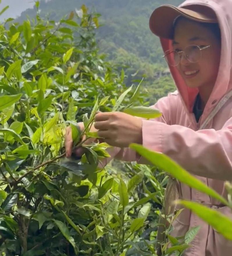 Bikki'S Jungle Homestay Ha Giang Εξωτερικό φωτογραφία