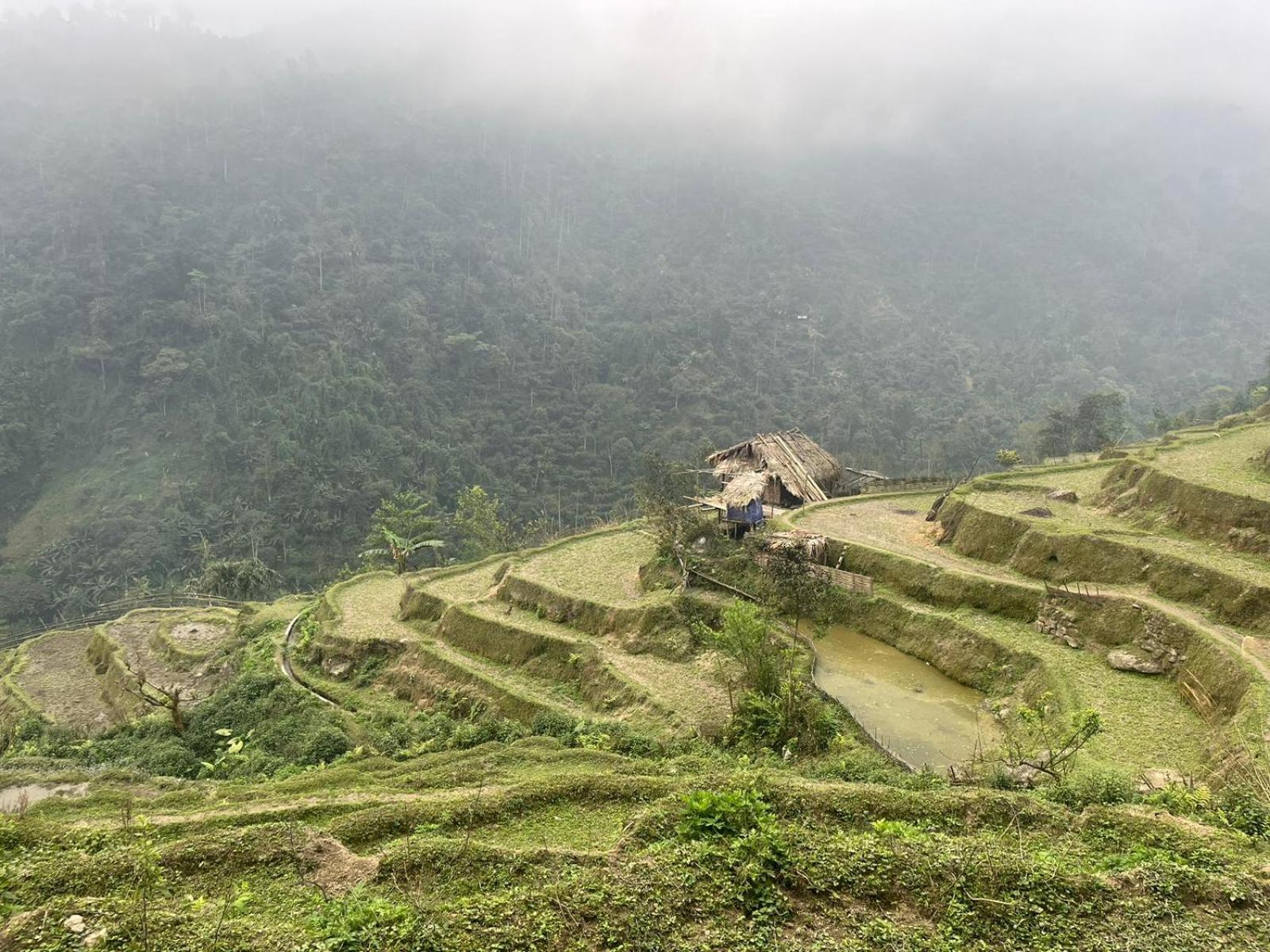 Bikki'S Jungle Homestay Ha Giang Εξωτερικό φωτογραφία