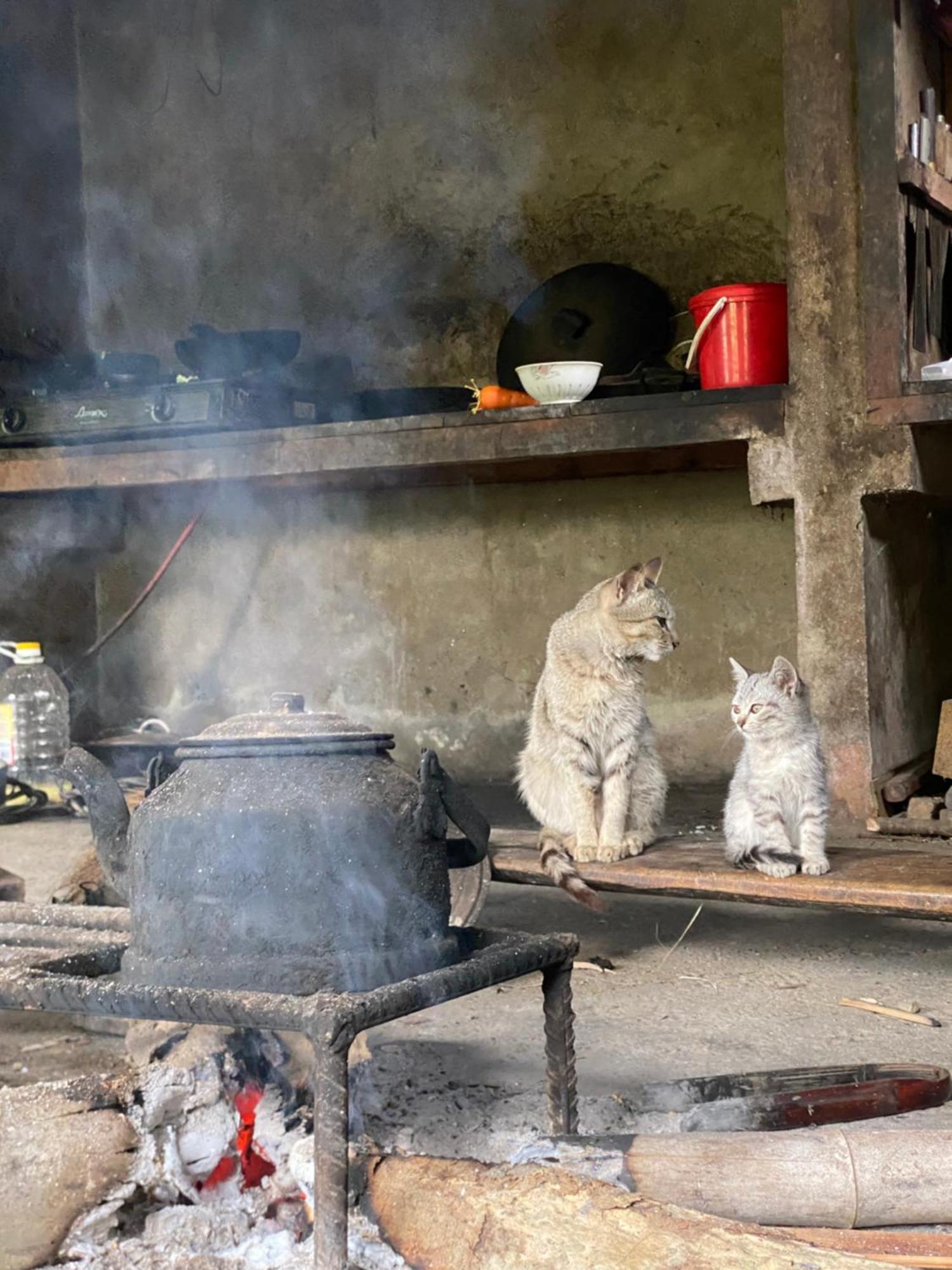Bikki'S Jungle Homestay Ha Giang Εξωτερικό φωτογραφία