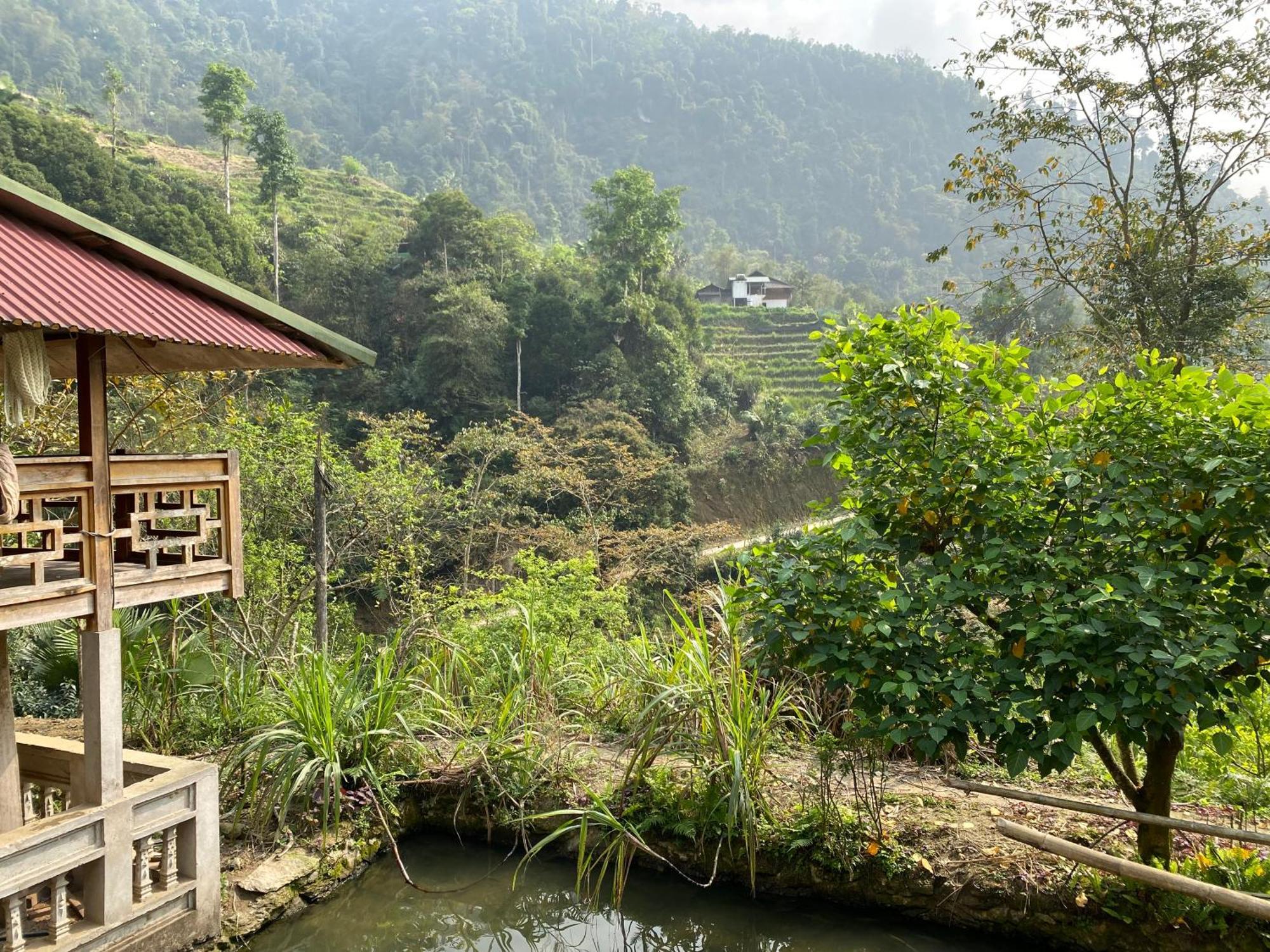 Bikki'S Jungle Homestay Ha Giang Εξωτερικό φωτογραφία