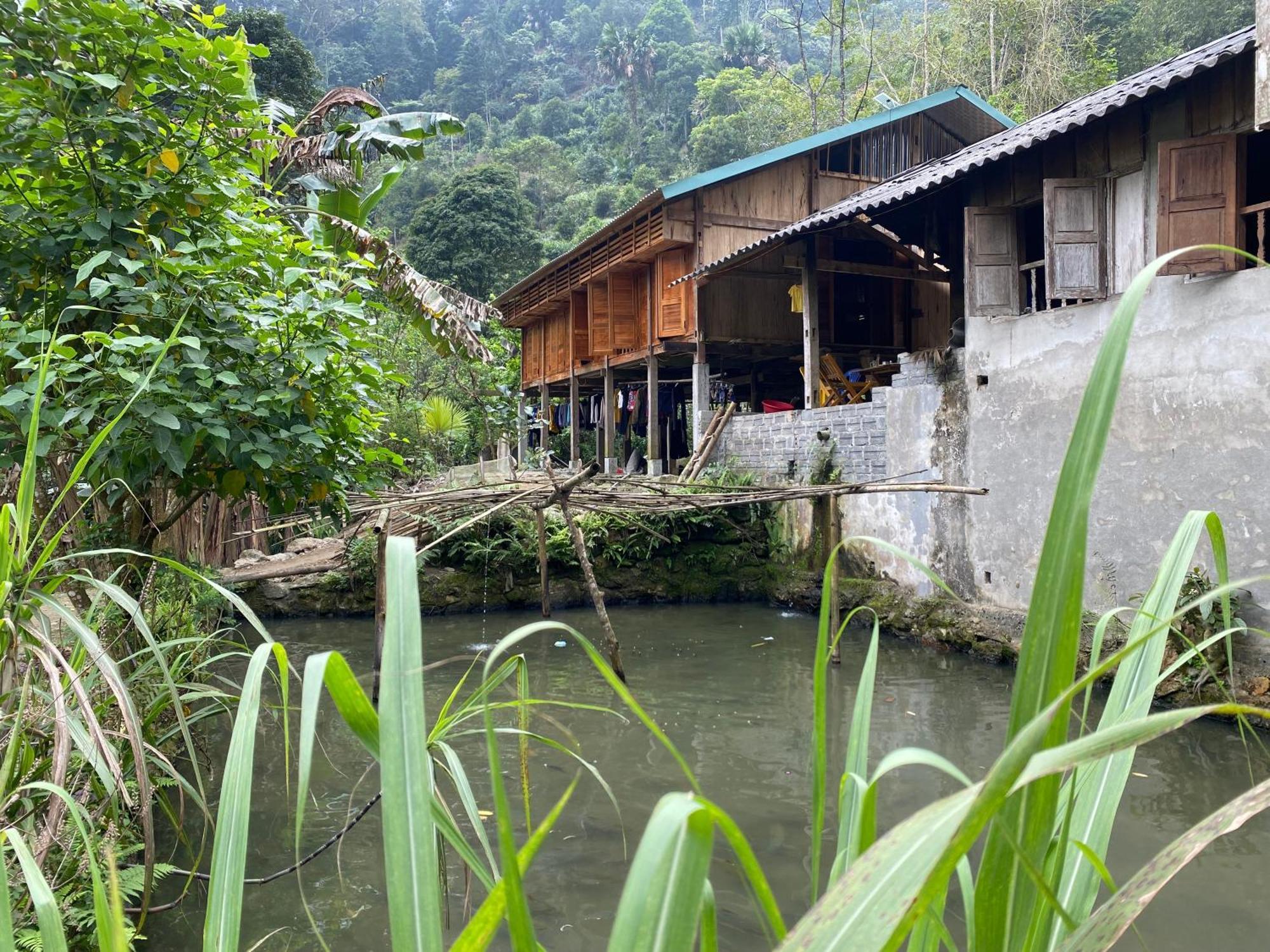 Bikki'S Jungle Homestay Ha Giang Εξωτερικό φωτογραφία