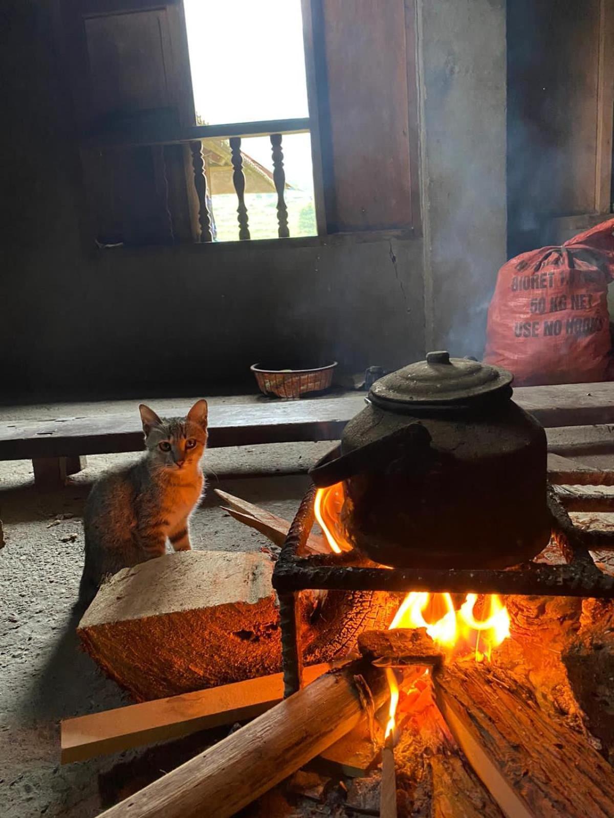 Bikki'S Jungle Homestay Ha Giang Εξωτερικό φωτογραφία