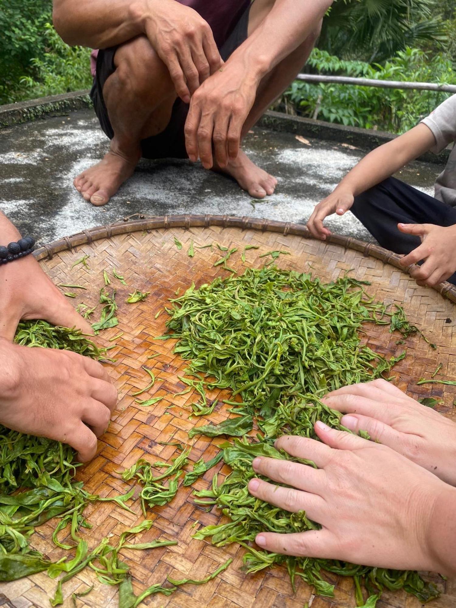 Bikki'S Jungle Homestay Ha Giang Εξωτερικό φωτογραφία