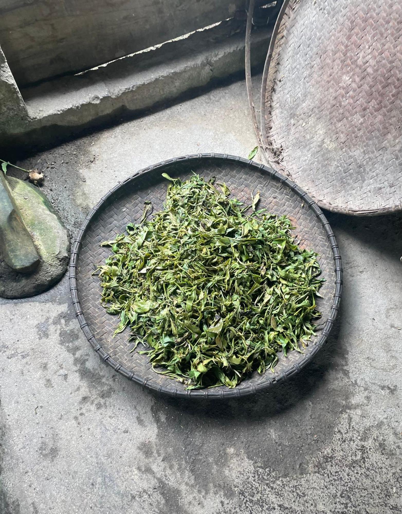 Bikki'S Jungle Homestay Ha Giang Εξωτερικό φωτογραφία