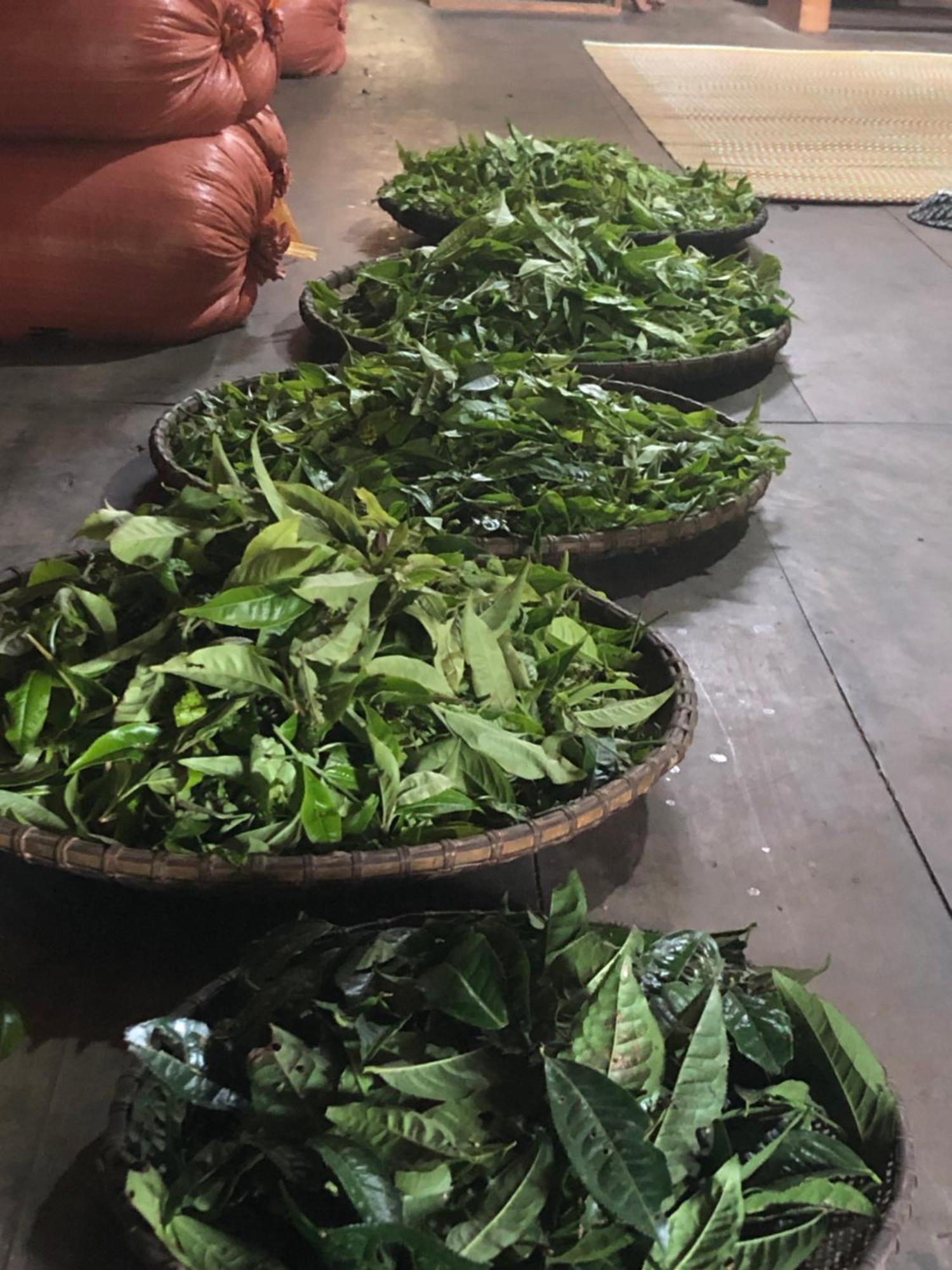 Bikki'S Jungle Homestay Ha Giang Εξωτερικό φωτογραφία